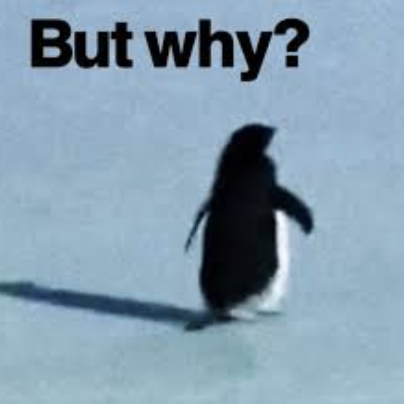 Why Jacobi fields matter in ML