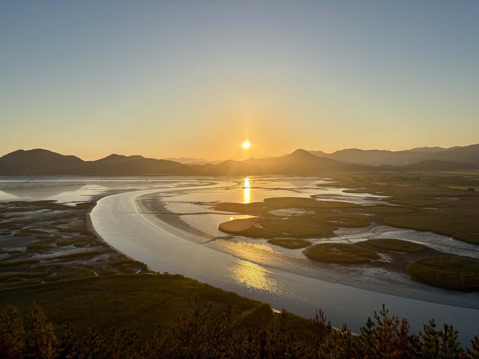 Suncheon Bay Wetlands landscape